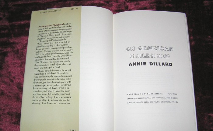 An american childhood annie dillard