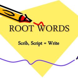 Words with scrib or script