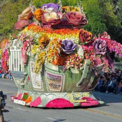 Parade rose float floats viewing bowl close theme festival book theworldisabook choose board gras mardi