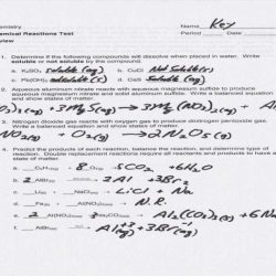 Replacement single worksheet reaction key