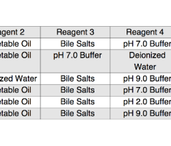 Physioex 9.0 exercise 9 activity 6