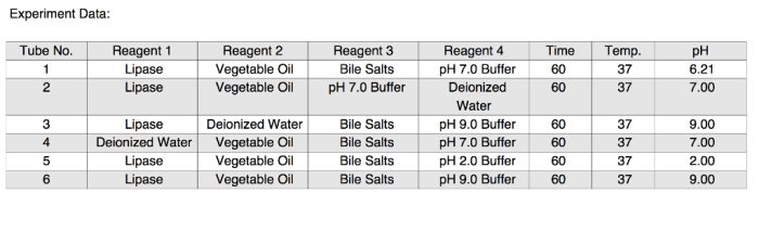 Physioex 9.0 exercise 9 activity 6