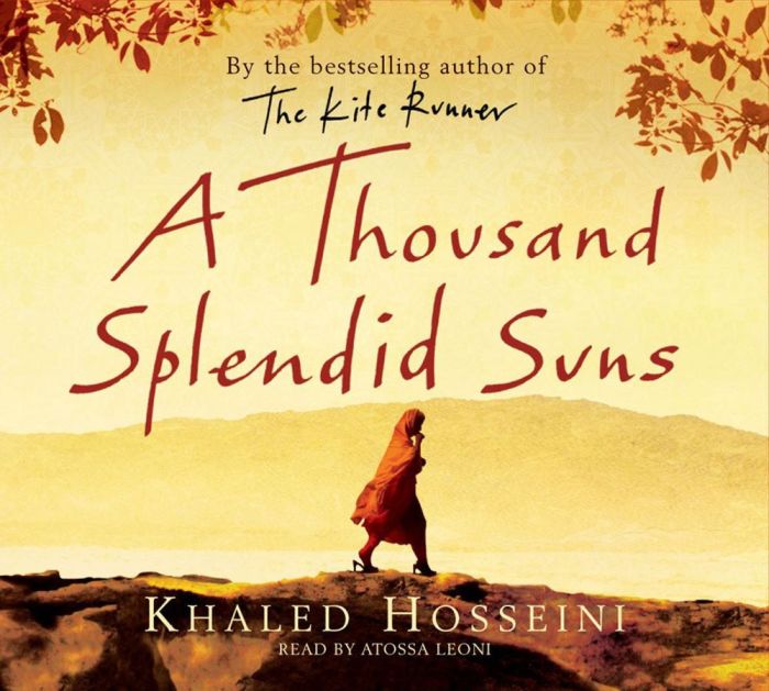 Discussion questions a thousand splendid suns